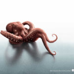 bekooctopus bekooctopus