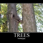 gay trees