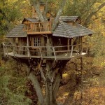 Cool Tree House