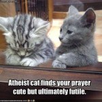 Atheist Cat