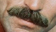 selleck