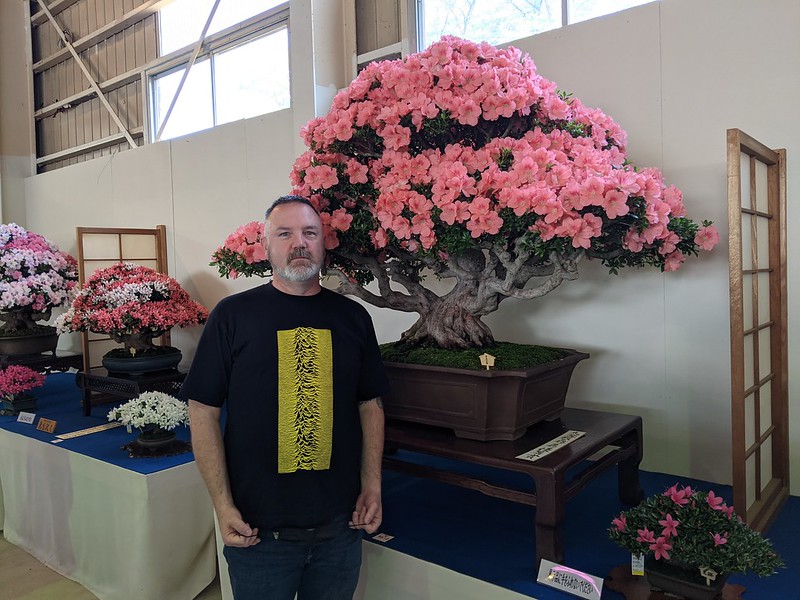 Me standing next to a stunning bonsai tree which has taken considerable time.