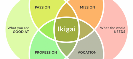 The Truth About Ikigai and Hobbies: Stop Monetizing Your Joy